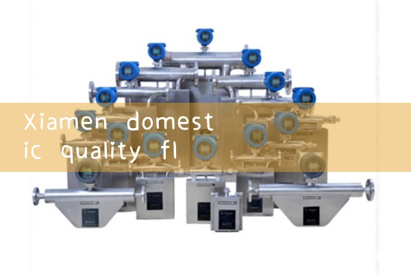 Xiamen domestic quality flowmeter manufacturer